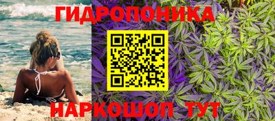 гидра Гусиноозёрск