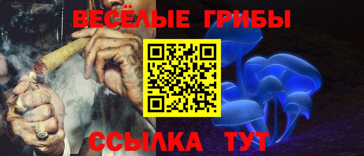 Псилоцибиновые грибы прущие грибы  Галлюциногенные грибы мухоморы  Вход с VPN  где продают   Новоуральск 